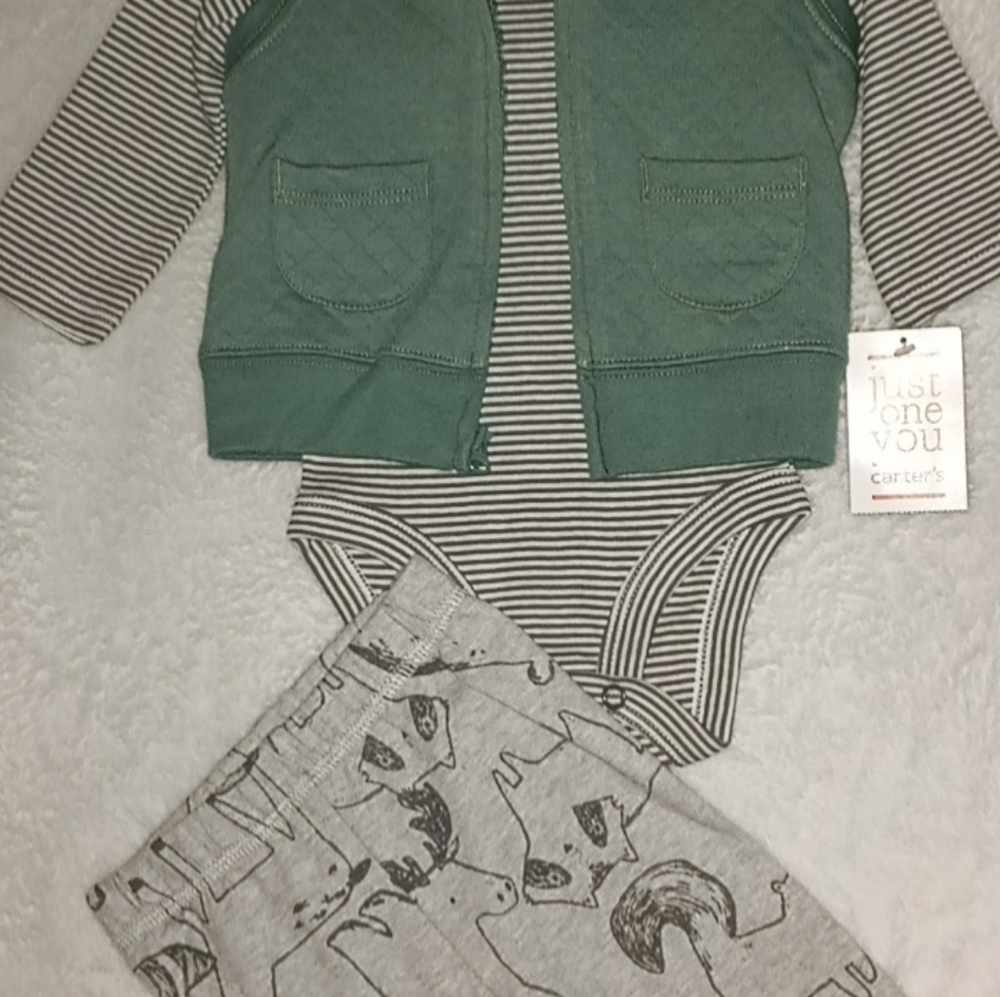 3 piece outfit (carter's)